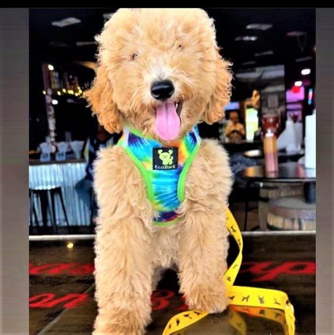 EcoBark Step in Dog Harness - Soft Luxury Mesh Dog Vest Harnesses for Puppy and Toy Breed Dogs - Reflective and Adjustable Halter Harness - Mesh Comfort Padded Body Harness (Tie Dye, Med)