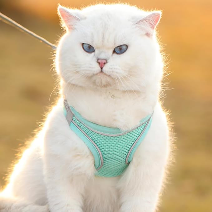 Cat Harness and Leash Set Soft Adjustable Escape Proof Cat Leash Breathable Comfortable Vest Easy to Wear Kitten/Small Dogs Harness for Outdoor Walking Green S