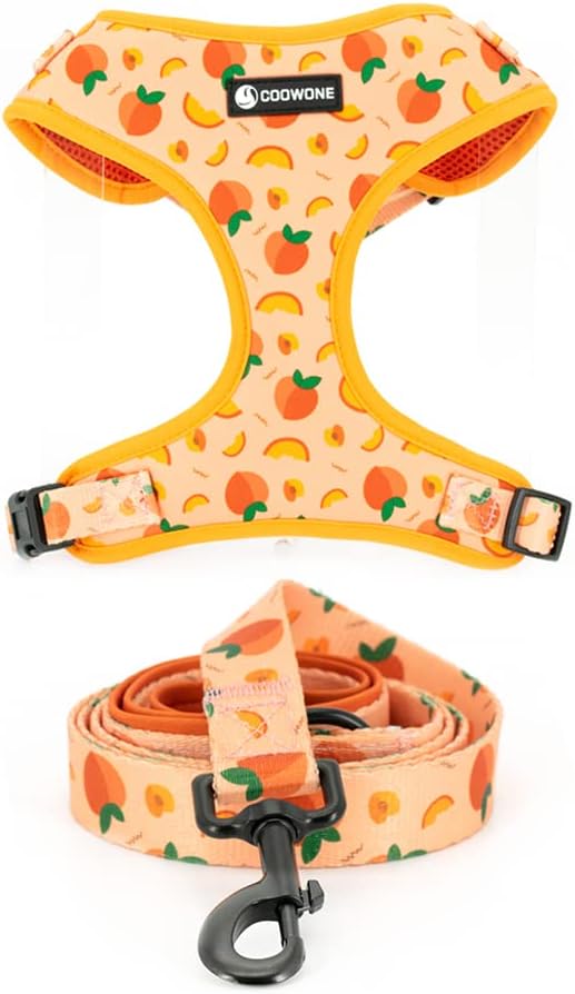 Dog Harness and Leash Set, Adjustable Dog Harness, Dog Leash, No Pull No Choke Puppy Harnesses for Walking Training for Small, Medium, Large Pet