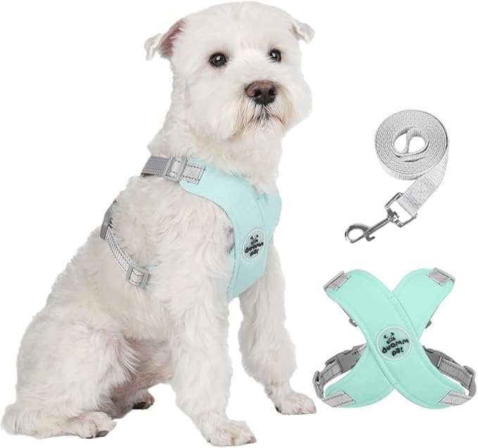 FEimaX Dog Harness Pet X Frame No Pull Step-in Harnesses with Leash Set, Adjustable Reflective Choke Free Puppy with Padded Vest for Small, Medium Dogs and Cats Walking Training