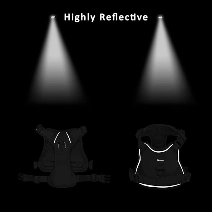 Petmolico No Pull Dog Harness and Leash Set, No Choke 4 Leash Attchments Easy Control Handle Soft Padded Reflective Vest Dog Harness for Small Dog Breed, Rose Small