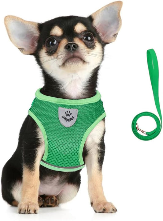FEimaX Dog Harness and Leash Set for Walking, Soft Mesh Adjustable Easy Control Lightweight Cat Vest Harnesses with Reflective Strips, Escape Proof Small Dogs Cats Vests