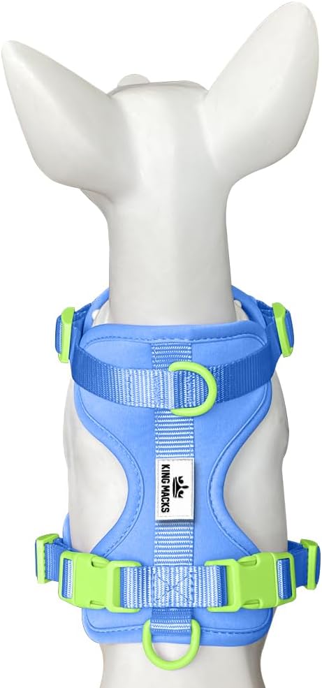 King Macks Dog Harness Set with Collar and Leash, Waste Bag Holder and Dirty Waste Bag Clip, Adjustable for Small/Medium/Large Dogs, Lightweight (Blue with Green, Small)