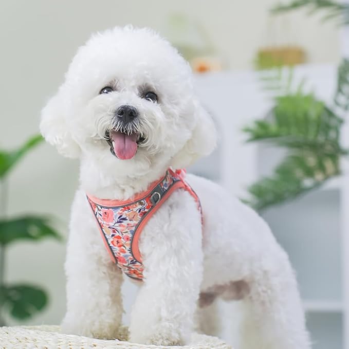 Step in Dog Harness and Leash Set, Flower Adjustable Easy Walk Puppy Harnesses, Soft Mesh Pet Vest Harness Small Size Dog Adjustable No Pull Dog Harness for Small Medium Dogs(Pink, XS)