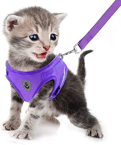 FEimaX Dog Harness and Leash Set for Walking, Soft Mesh Adjustable Easy Control Lightweight Cat Vest Harnesses with Reflective Strips, Escape Proof Small Dogs Cats Vests