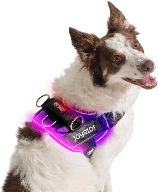 Joyride Harness LED Light Up Dog Harness 2.0 - Patent Pending Design, 3 LED Modes, Vibrant Rechargeable Lighting, Customizable Name Tag Area, and Convenient On/Off Button for Enhanced Pet Safety