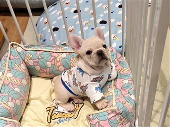 Dog Clothes Puppy Cute Dinosaur Shirt Pet Cotton Shirt Dog Vest Cat Clothes Dogs Boy Girl T Shirts for Small Dog Cat Teacup Chihuahua Yorkie (Dino Shirt, X-Large)