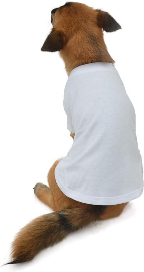 Lovelonglong Pet Clothing Dog Costumes Dachshund Clothes Blank T-Shirt Tee Shirts for Dachshund Dogs,Corgi 100% Cotton White D-S