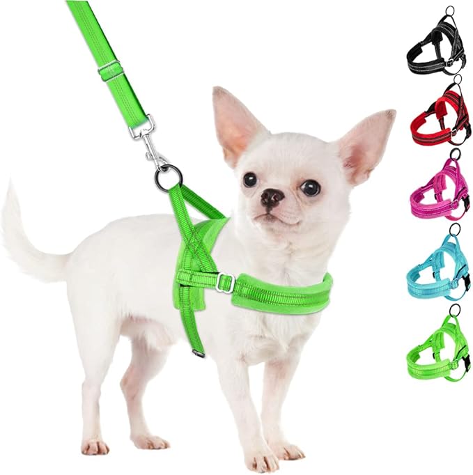 SlowTon No Pull Small Dog Harness and Leash Set, Puppy Soft Vest Harness Neck & Chest Adjustable, Reflective Lightweight & Anti-Twist Pet Lead Combo for Small Medium Dogs(G,S)