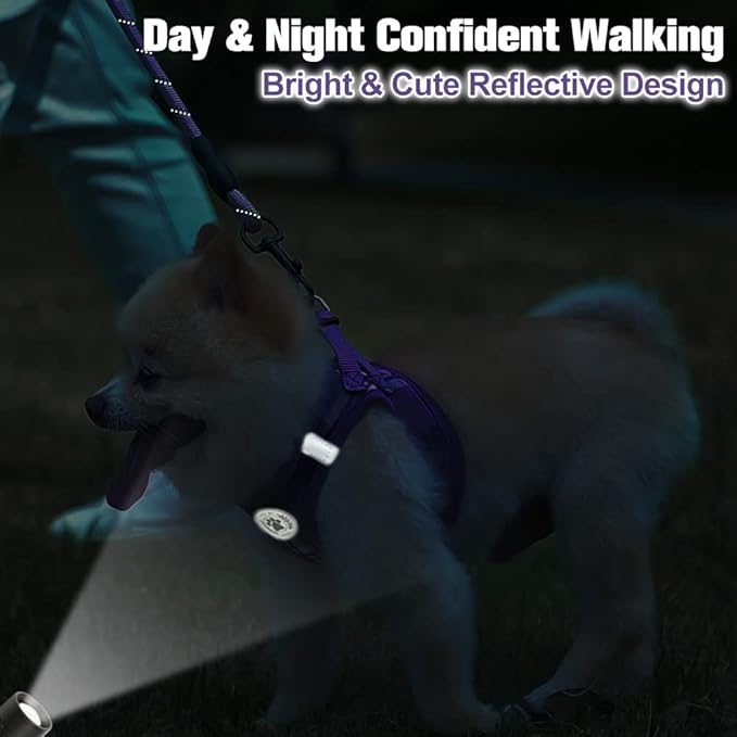 BEAUTYZOO Small Dog Harness and Leash Set,Step in No Choke No Pull Soft Mesh Dog Harnesses Reflective for Extra-Small/Small Medium Puppy Dogs and Cats, Plaid Dog Vest Harness for XS S Pets, Purple XXS