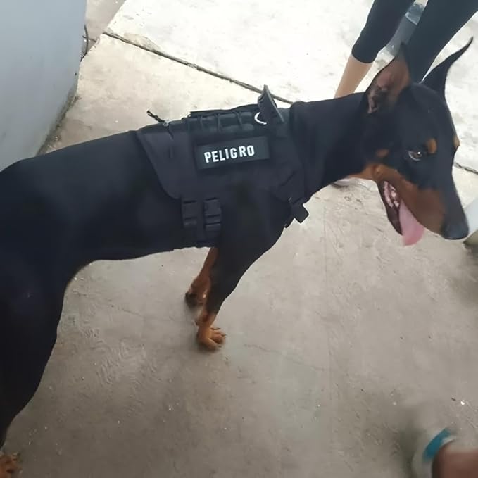 DIY Dog's Name Custom Dog Harness Leash Set, Personalized No Pull Dog Vest, Tactical Military Dog Harness & Retractable Leash, Outdoor Training Gear for Medium & Large Dogs (Black, L)