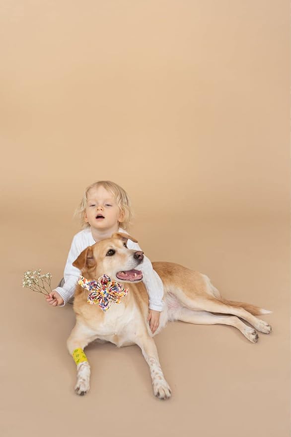 Uniqe Style Paws Flower Dog Collar, Puppy Collar Adjustable Girl Dog Collar with Flower, Durable Floral Pattern Pet Collar for Small Female Dogs
