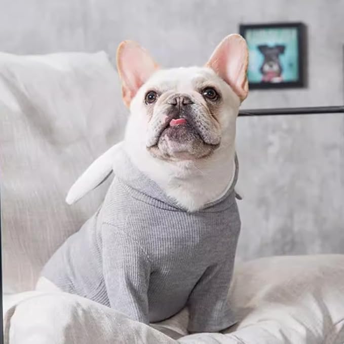 ANIAC Pet Hoodie Cat Rabbit Outfit with Bunny Ears Cute Sweatshirt Spring and Autumn Puppy Knitted Sweater Kitty Soft Knitwear (XXL-Large, Grey)