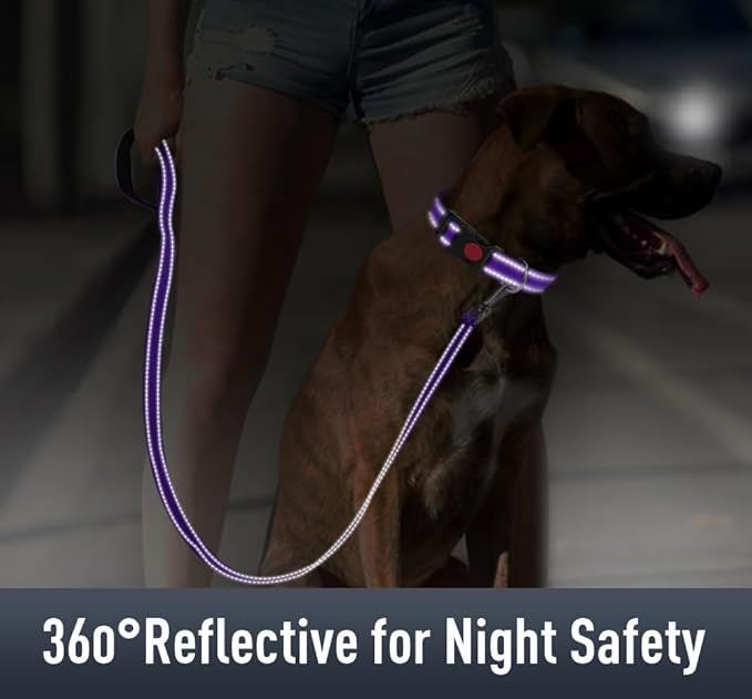 Airtag Dog Collar with AirTag Holder for Large Dogs, Reflective, Soft Padded & Safety Locking Buckle, Nylon Pet Collars Adjustable for All Breeds, Purple,XL