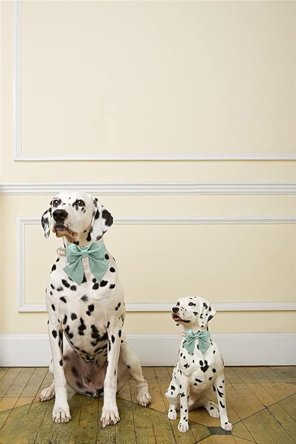 Unique style paws Silk Green Color Dog Collar Adjustable Durable Dog Collar with Bow Wedding Bowtie Collar for Medium Dogs