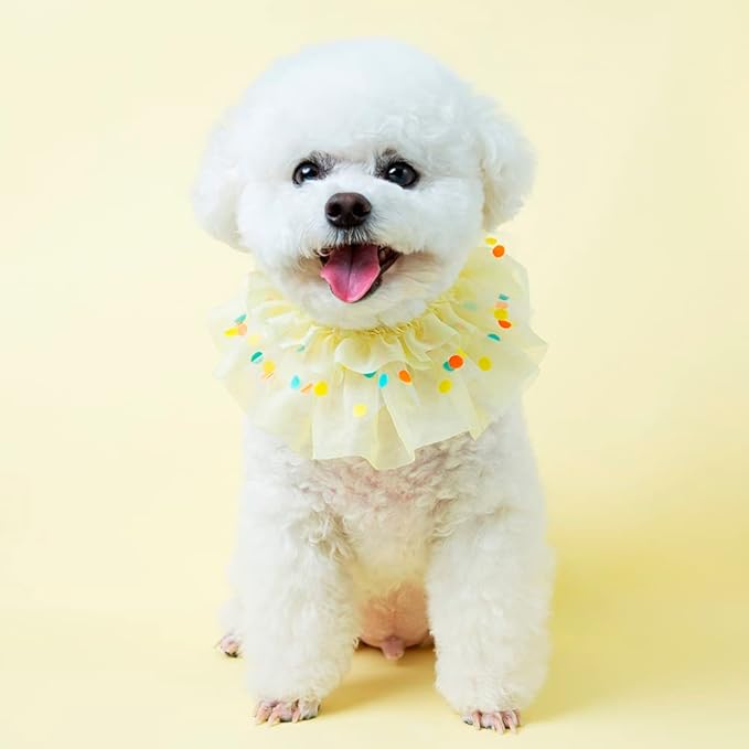 Jelly Bean Cape // pet Scarf, Pet Bib, Dog Bandanas, Round Neck Scarf/pet Accessories for Small, Medium, Large Dogs,Cat (XLarge, Yellow)