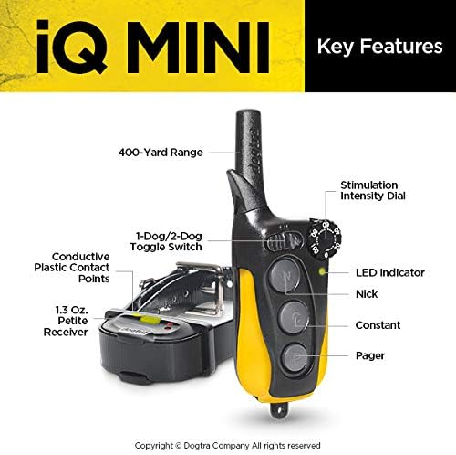 Dogtra IQ Mini Small Dog Remote Training System - 400 Yard Range Collar, Rechargeable Remote Trainer, Waterproof, Static, Vibration Pager Training with PetsTEK Dog Training Clicker