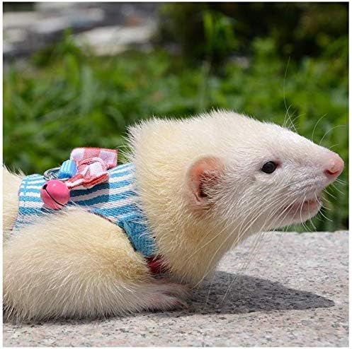Litewoo Hamster Outdoor Walking Vest Harness and Leash Set Cute Bow-knot and Clear Bell Decor Chest Strap Harness for Rabbit Guinea Pig Chinchilla Ferret Squirrel Marten Kitten (SMALL,Blue Stripe)