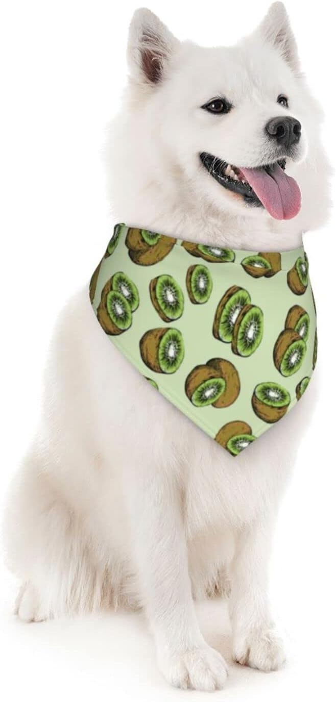 Tropical Kiwi Dog Bandana Scarf Triangle Bibs Pet Accessories Cat Kerchief