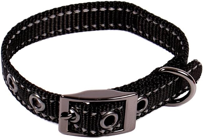 Max and Neo MAX Reflective Metal Buckle Dog Collar - We Donate a Collar to a Dog Rescue for Every Collar Sold (X-Small, Black)