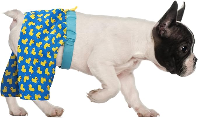 HDE Dog Swim Trunks Hawaiian Board Shorts Beach Pool Swimsuit for XS to XXL Dogs Rubber Ducks - M