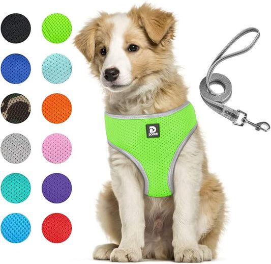 Puppy Harness and Leash Set - Dog Vest Harness for Small Dogs Medium Dogs- Adjustable Reflective Step in Harness for Dogs - Soft Mesh Comfort Fit No Pull No Choke (L, Light Green)