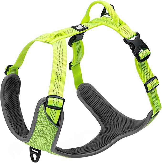 TRUE LOVE Dog Harness Outdoor Adventure II Reflective Vest with 2 Leash Attachments Matching Leash and Collar Available TLH6071