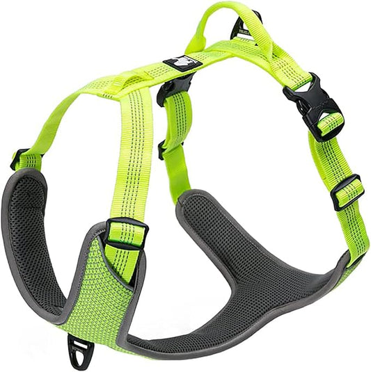 TRUE LOVE Dog Harness Outdoor Adventure II Reflective Vest with 2 Leash Attachments Matching Leash and Collar Available TLH6071