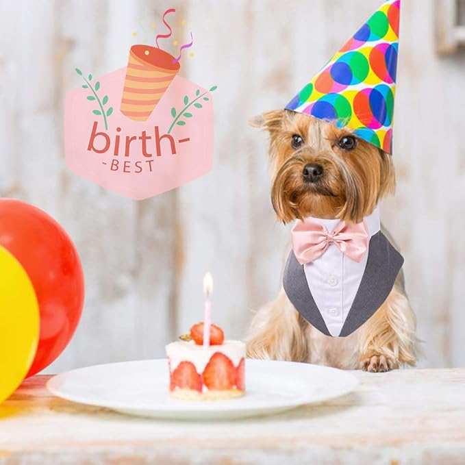 QBLEEV Tuxedo for Medium Dogs, Suit and Bandana Set, Wedding Outfit With Bow Tie, Formal Tux Costume for Halloween Christmas Birthday Party Cosplay, Grey M