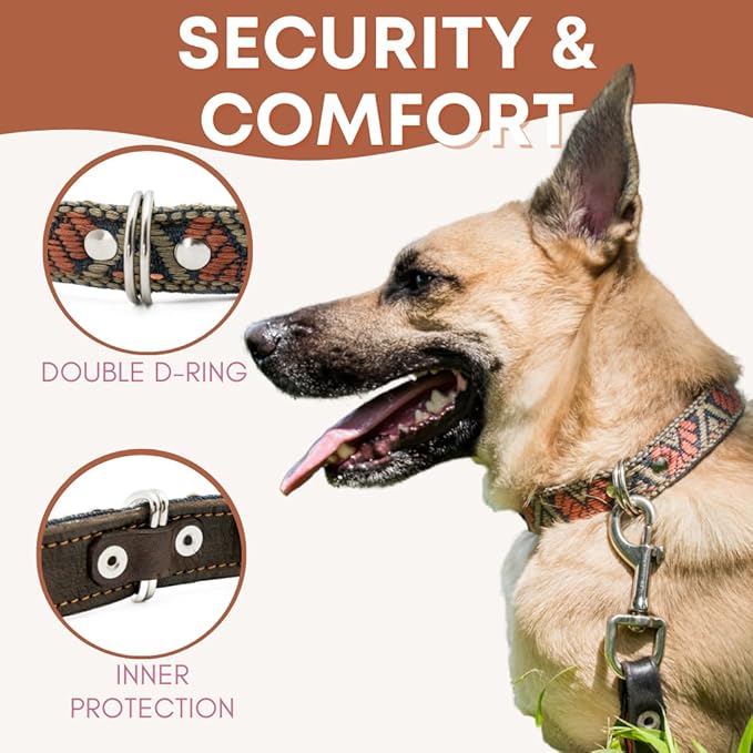 Western Dog Collar - Leather Embroidered Design for Small Medium Large Dogs & Puppy Pets - Aztec Southwest for Boy and Girl Female & Male Dogs - Collar para Perros (Medium, Bronze Olive)