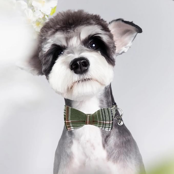 SuperBuddy Dog Collar, Adjustable Dog Collar with Bowtie, Pet Collar for Dog Soft Bowtie Dog Collars for Small Medium Large Pet