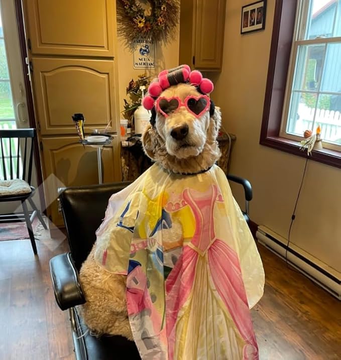 Funny Dog Curler Wig Costume & Glasses - Adjustable, Soft & Warm Pet Wig for Small, Medium & Large Dogs & Cats - Perfect for Halloween, Christmas & Parties (Fits Pet Head Circumference 6-27 Inch)