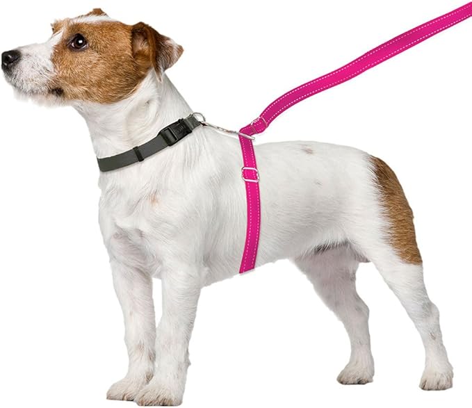 No-Pull Dog Leash (Small (12 to 25 lbs), Pink)