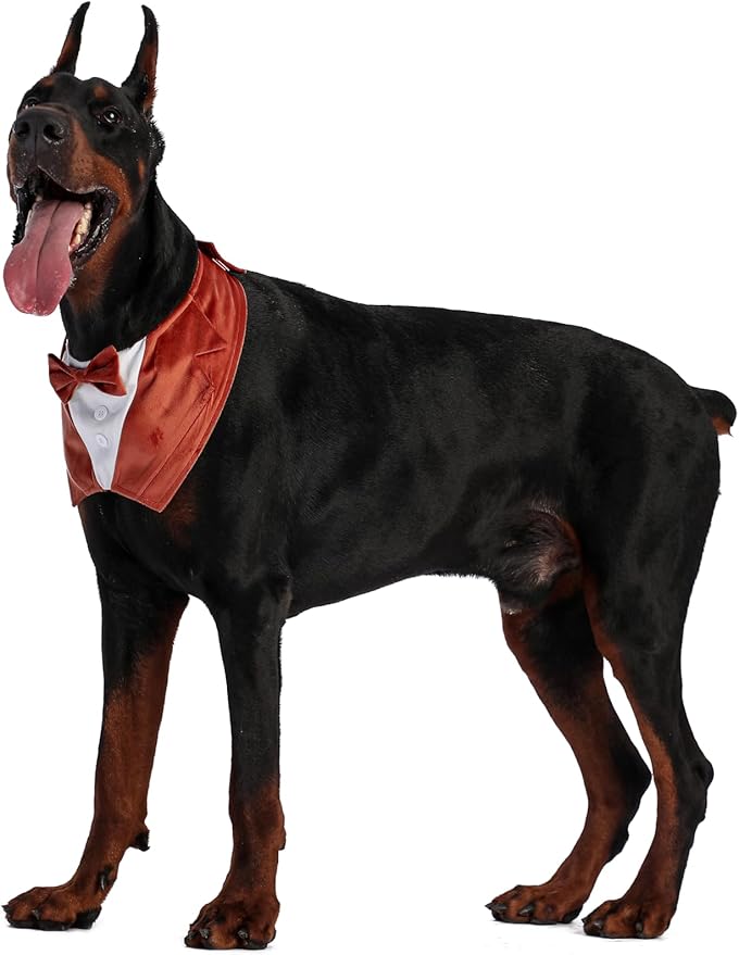 Dog Tuxedo Collar Suit for Wedding Engagement and Birthday, Halloween Formal Tux Bandana Costume with Orange Bow Tie and Adjustable Buckle,Suitable for X-Large Pup(Orange, XL)