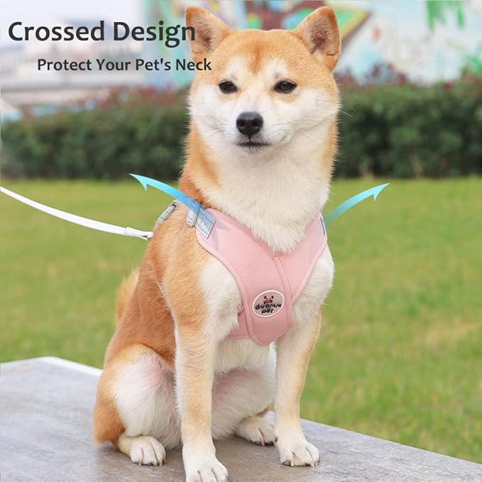 FEimaX Dog Harness Pet X Frame No Pull Step-in Harnesses with Leash Set, Adjustable Reflective Choke Free Puppy with Padded Vest for Small, Medium Dogs and Cats Walking Training