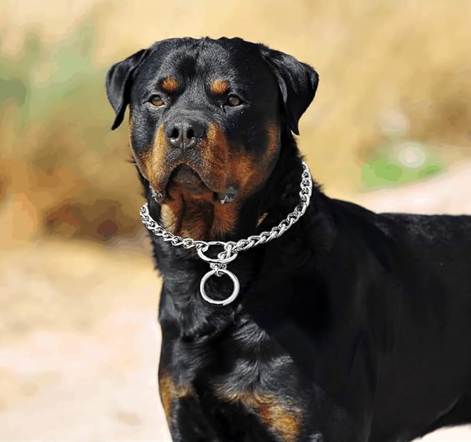 Freezx Dog Choke Collar Slip P Chain,Heavy Chain Metal Training Choke Collars, Adjustable Weather Proof Alloy Steel Necklace for Small Medium Large Dogs