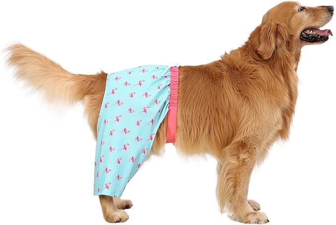 HDE Dog Swim Trunks Hawaiian Board Shorts Beach Pool Swimsuit for XS to XXL Dogs Party Like a Flock Star - L