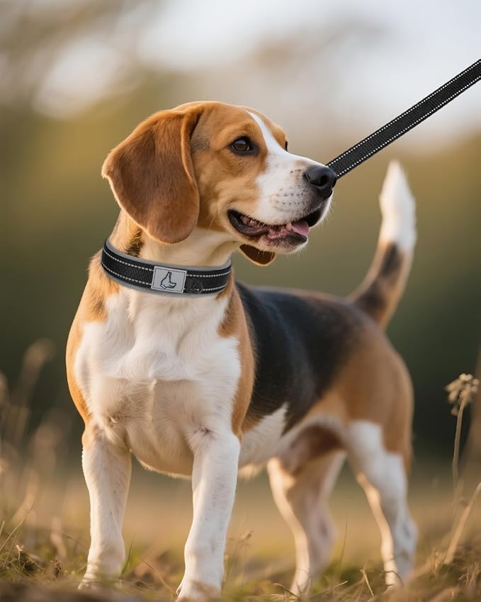 Joytale Dog Collar for Medium Dogs, Neoprene Padded and Adjustable, Reflective Wide Heavy Duty Pet Collars with Durable Metal Belt Buckle for Walking, Black, M