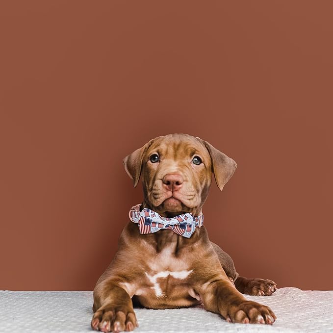 Adjustable Bow Tie Dog Collar Printed Cute Patterns Spring Summer Soft Pet Collars for Small Medium Large Dogs