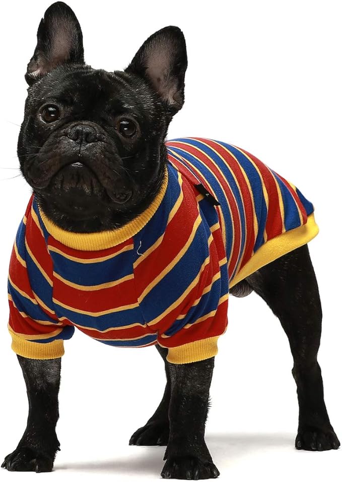 Fitwarm 2 Pack Striped Dog Shirt, Summer Dog Clothes for Small Dogs Boy, Breathable Pet Tshirt, Stretchy Cat Outfit, 104% Cotton, Black and White, Royal Blue and Yellow, XL