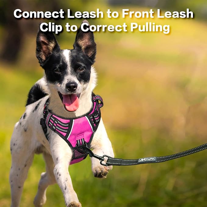 PoyPet No Pull Dog Harness, No Choke Front Clip Reflective Dog Vest with Soft Padded Vertical Handle, 3 Leash Attachments for Small Medium Large Dogs (Pink,S)