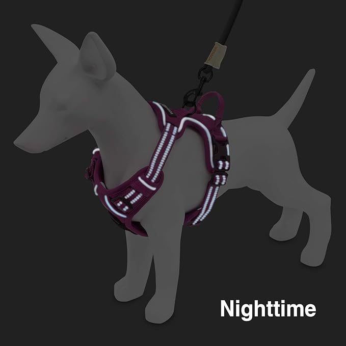 No Pull Dog Harness for Small Dogs, Dual Leash Attachments, Adjustable Soft but Strong Pet Harness with 3M Reflective Technology, Fuchsia Nylon, S (Chest: 16-20")