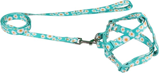 Green Daisy Pattern Basic Dog Halter Harness Leash Set, No Pull, Easy Wear for Small Dogs.(XS, Green Daisy)