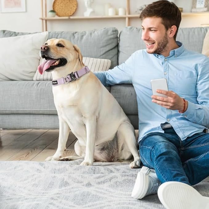 Rttochfy Premium Tactical Dog Collar, Adjustable and Quick-Release Metal Buckle, Heavy Duty Dog Collar for Small Medium, and Large Breed Dogs (Purple, M)