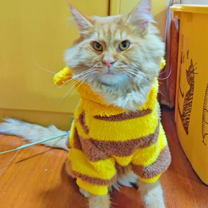 ANIAC Pet Hoodie Cat Rabbit Outfit with Bunny Ears Cute Sweatshirt Spring and Autumn Puppy Knitted Sweater Kitty Soft Knitwear (Yellow, X-Large)