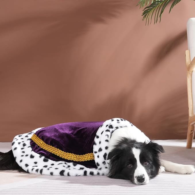 Lovelyshop pet Serial Lux FurPurple Cat Dog Cloak for Halloween Costumes, King Queen Prince and Princess Cosplay-L