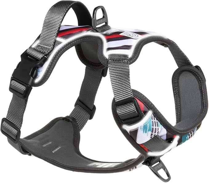 Embark Adventure Dog Harness, Reflective Trim No Pull Dog Harnesses for Small Sized Dogs - Military Grade Nylon, Front Clip with Gel Lined Handle.