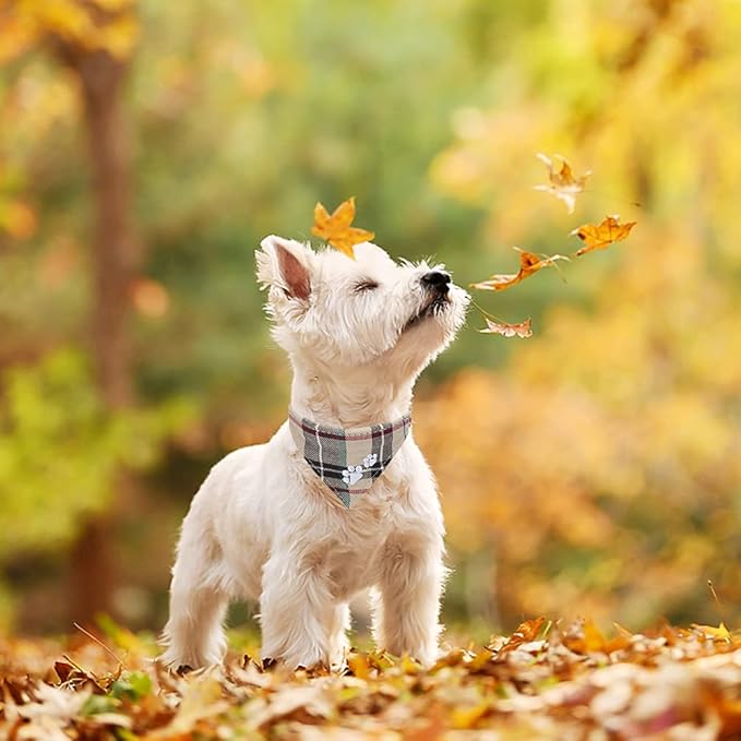 EXPAWLORER Dog Collar and Leash Set - Plaid Dog Collar with Pawprints and Bow Tie, Cat-Friendly, Beige S-M