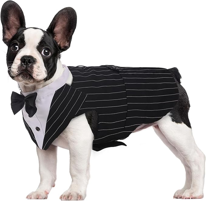 Kuoser Dog Tuxedo Dog Suit and Bandana Set, Dogs Tuxedo Wedding Party Suit, Doggy Prince Bow Tie Shirt Formal Pet Wedding Attire for Large Medium and Small Dogs Golden Retriever Samo Bulldogs