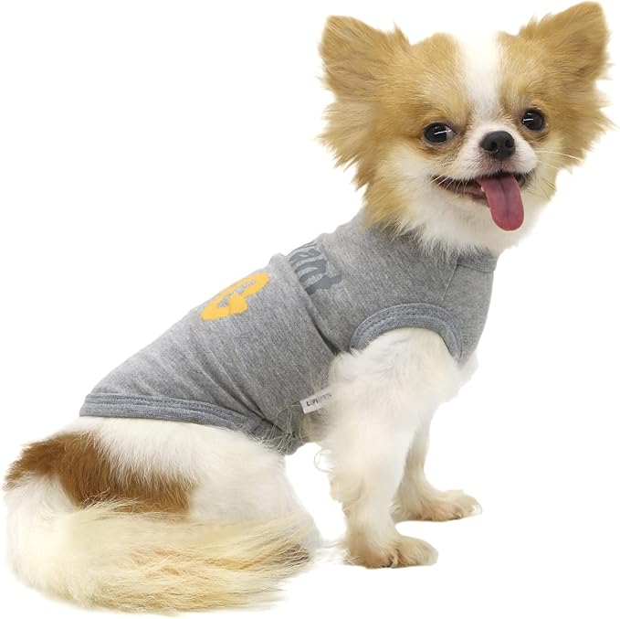 LOPHIPETS Dog All I Want is A Hug Letter Print Shirts for Small Dog Bichon Clothes Tee-Grey/XL